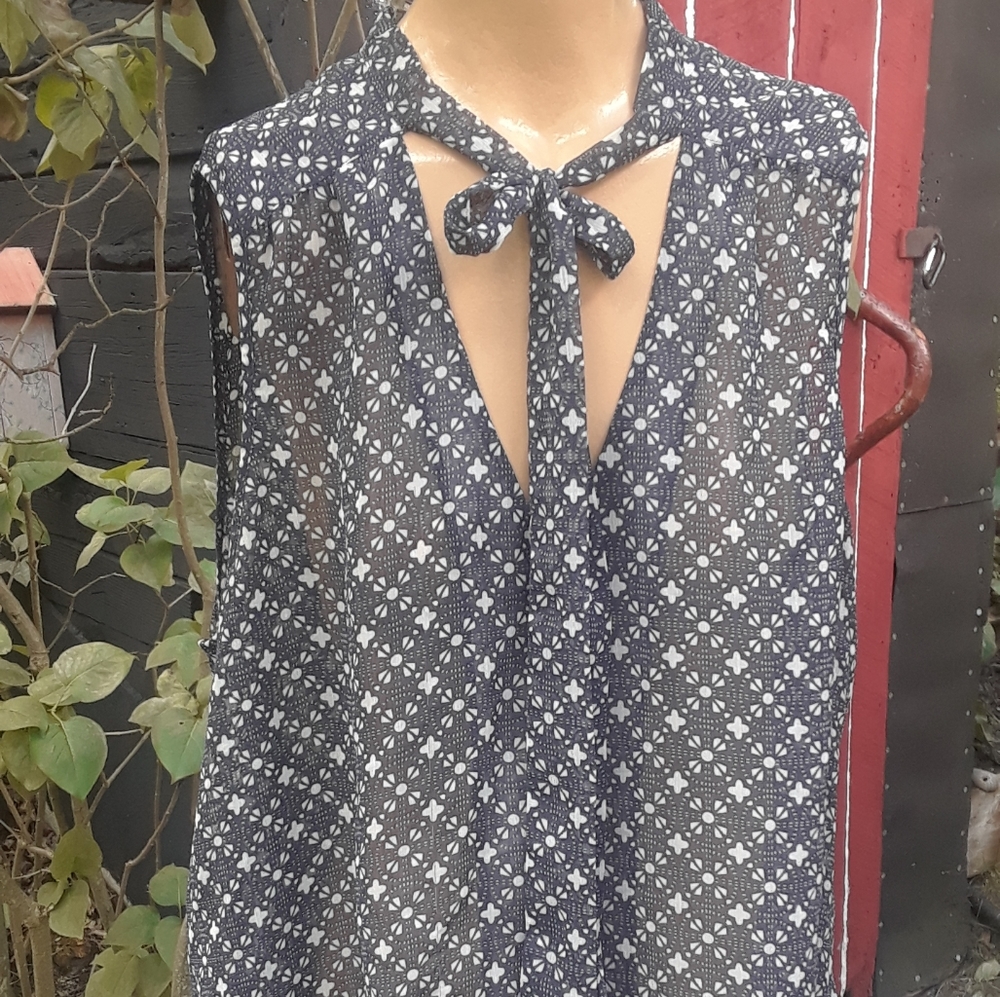 PRICE DROP sheer gap blouse